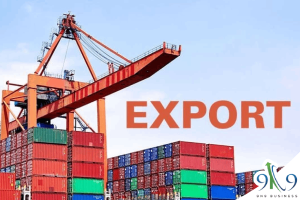 9n9-business-export